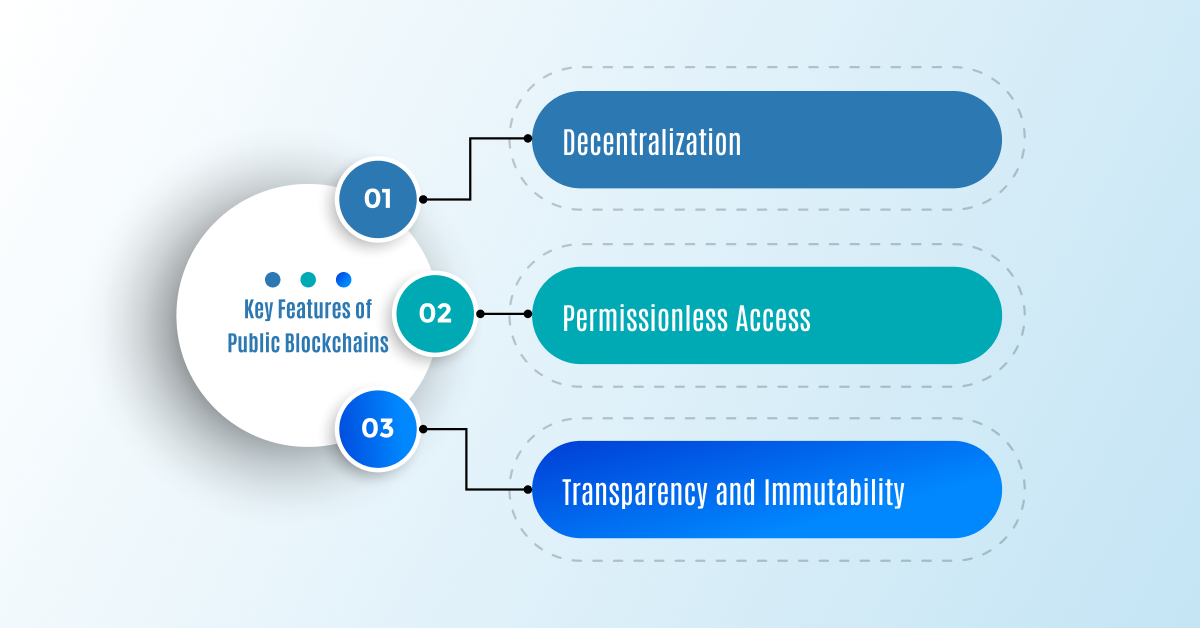 Features of Public Blockchains