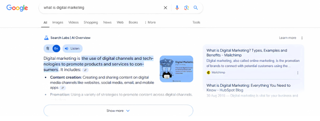 AI overview section at the top of search results